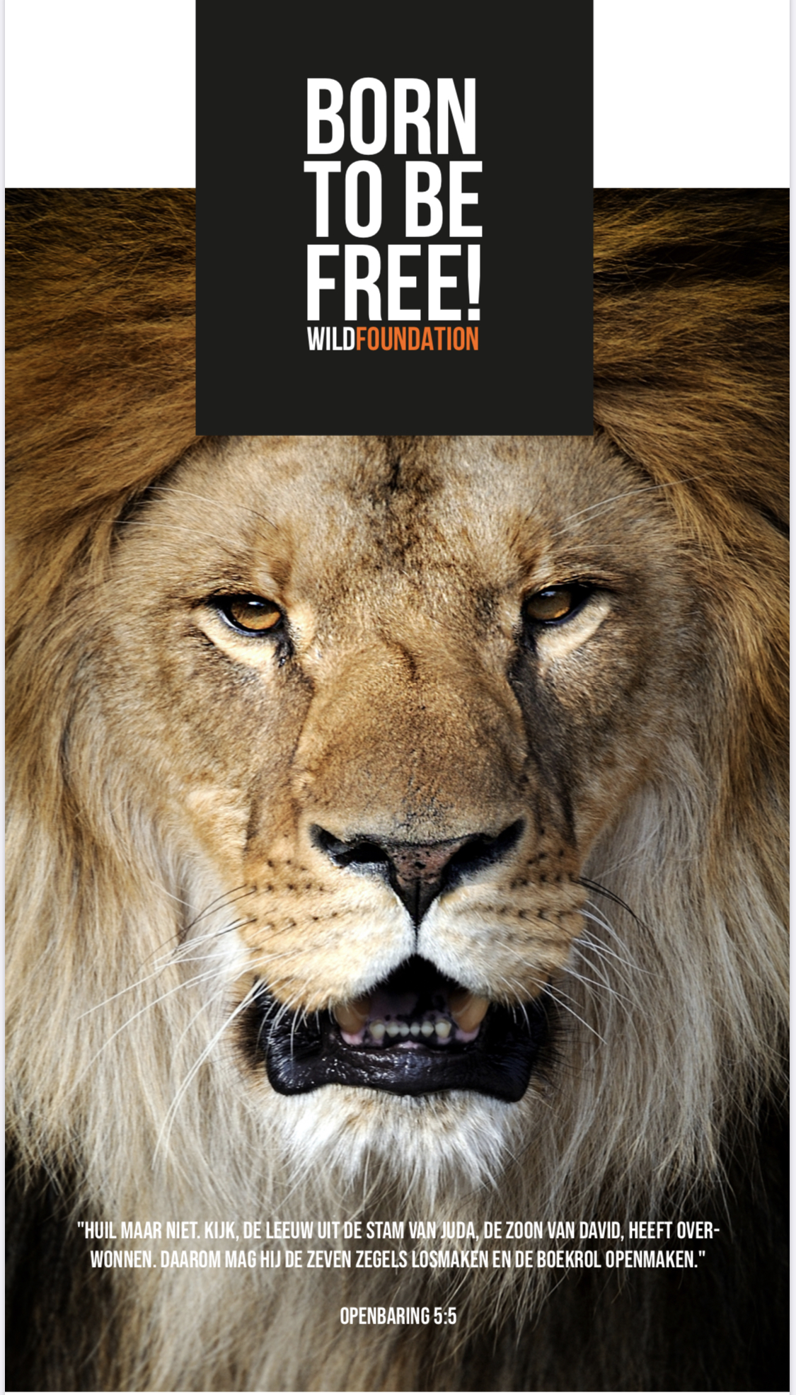 Poster ‘Born to be Free!’ met de leeuw en Openbaring 5:5